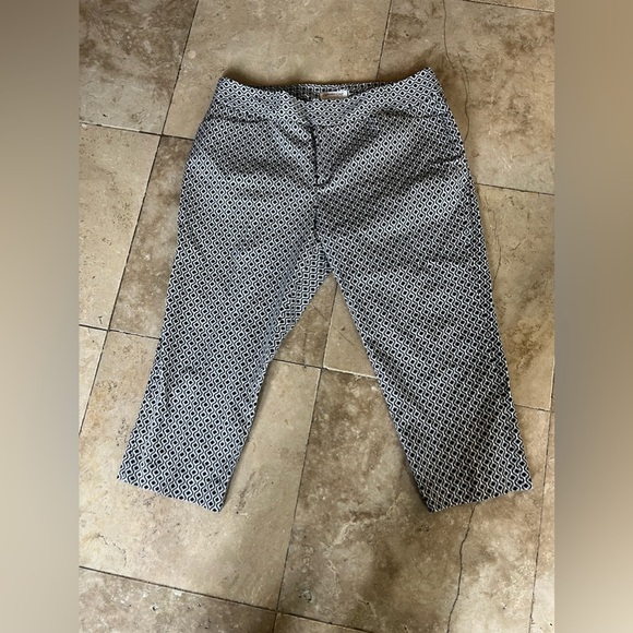 Coldwater Creek natural fit Capri Lady size 14 excellent condition - Picture 6 of 14